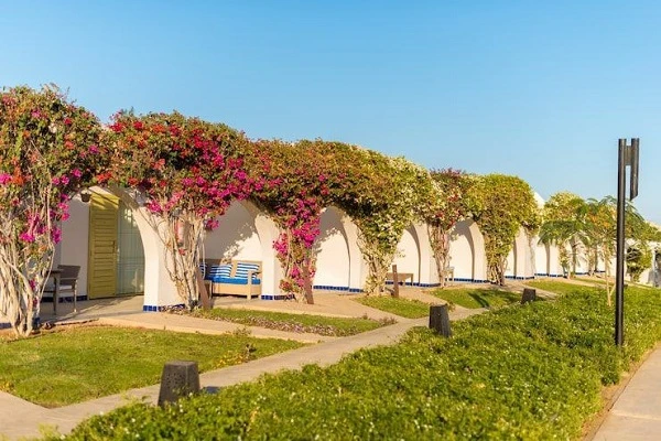 شرایط اخذ پروانه کسب آتلیه باغ