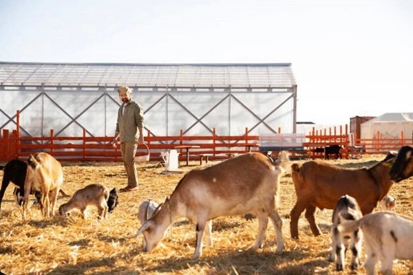 مدارک لازم برای دریافت مجوز دامداری